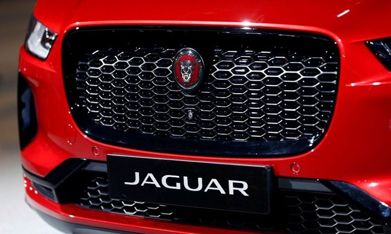 Jaguar grille